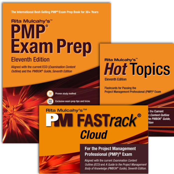 PMP_System_v11